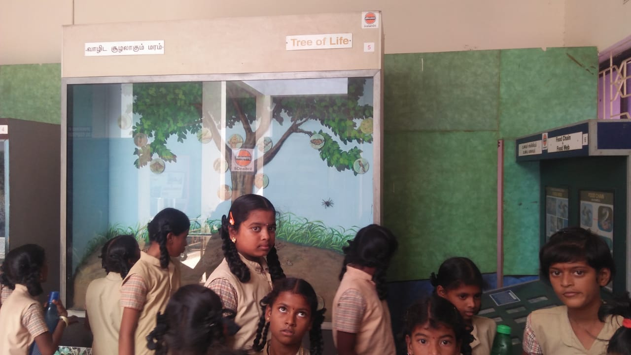 IMG-20190801-WA0046.jpg